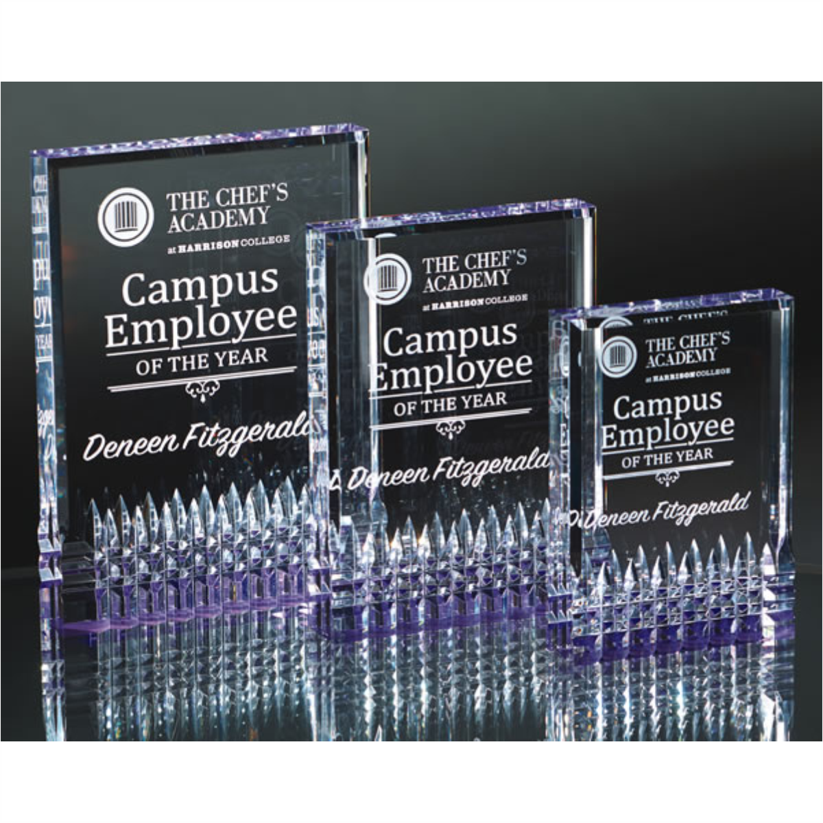 Acrylic Award With Purple Jewel Cuts