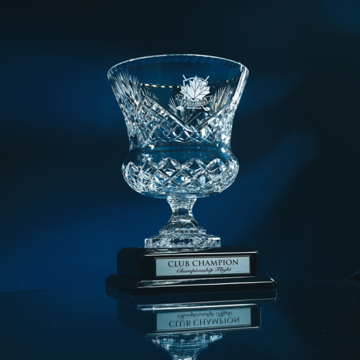 Crystal Trophy Cup Vase