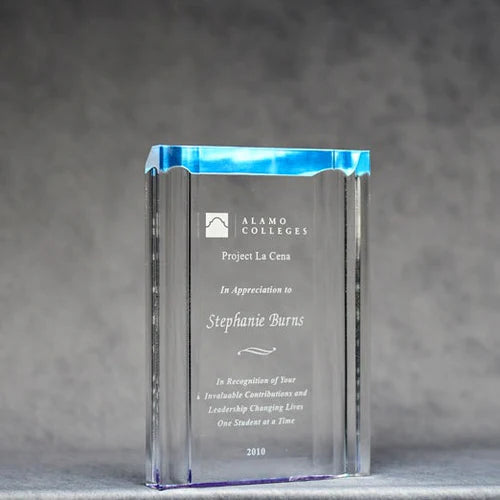 Blue Channel Mirror Acrylic Award Trophy