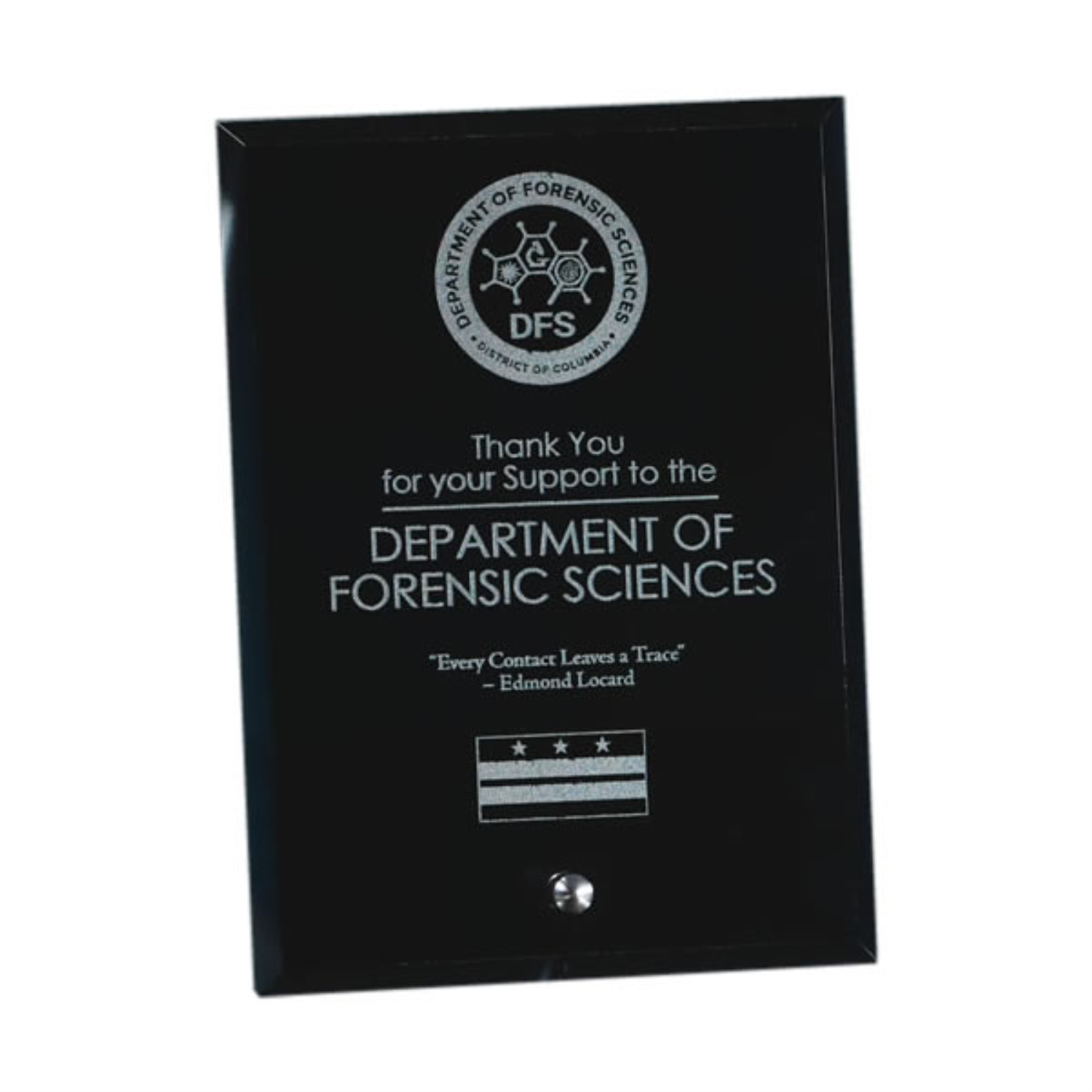 Economy Black Glass Standing Plaque (FM306C)